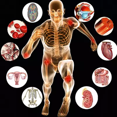 اناتومی و فیزیولوژی پیشرفته